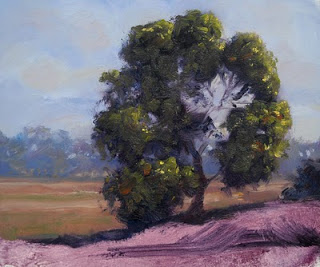 painting in oil plein air australian landscape tutorial andy dolphin