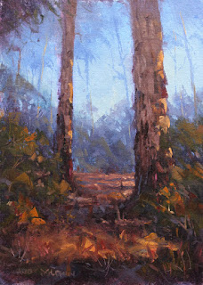 workshop oil painting - karri trees - by andy dolphin