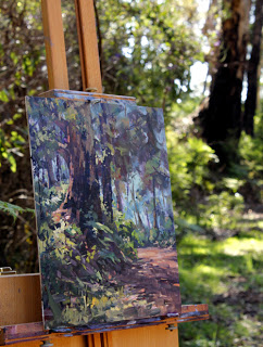 Plein air oil painting - location shot. Karri tree, Porongurup. By Andy Dolphin.
