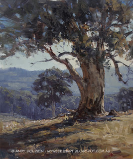Karri tree. Plein air landscape oil painting by Andy Dolphin. 