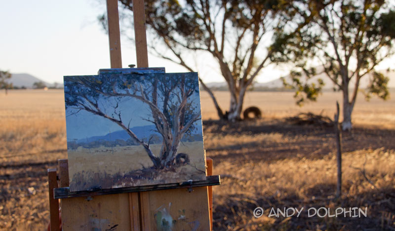 plein air oil painting lof tree - ocation photo in rural western australia